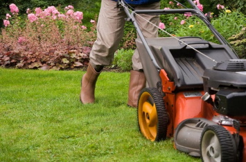 GRASS CUTTING LAWN MAINTENANCE